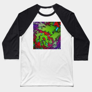 Enclosed gardens Baseball T-Shirt